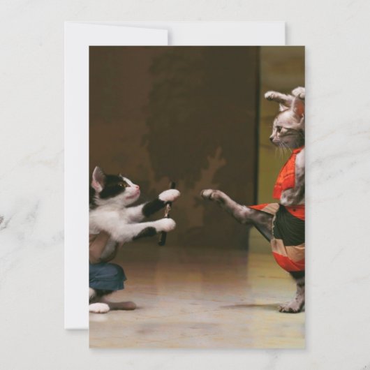 空手猫 招待状 (裏面)