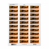 空挺型レンジャーズ退役軍人ベットLRRP ラベル (フルシート)