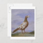 空母鳩(キャンバス上の油) ポストカード (正面/裏面)