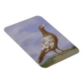 空母鳩(キャンバス上の油) マグネット (右側)