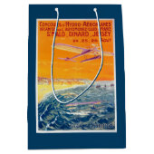 空気および水ポスターの浮遊物の飛行機の眺め ミディアムペーパーバッグ (正面)