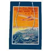 空気および水ポスターの浮遊物の飛行機の眺め ミディアムペーパーバッグ (裏面)