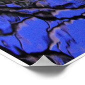 空気コイ ポスター (角)