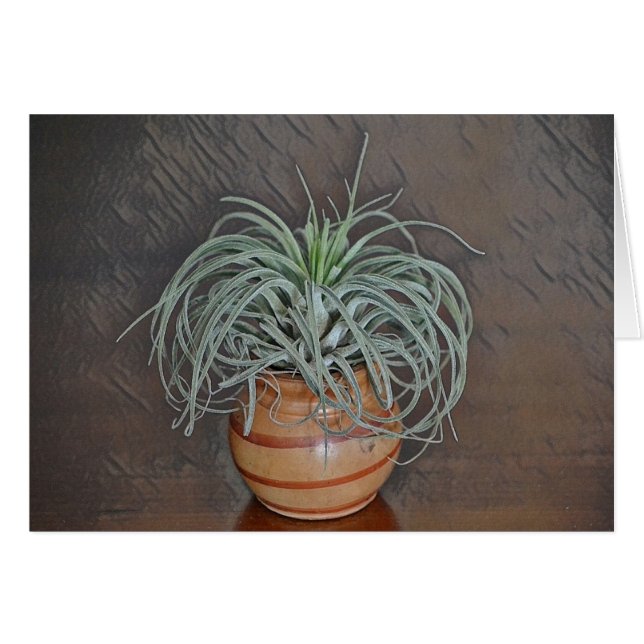 空気工場 (正面横)