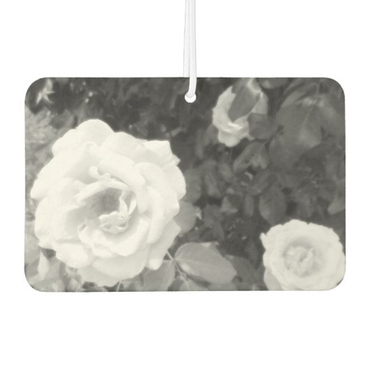 空気清浄機 カーエアーフレッシュナー (正面)