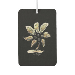 空気清浄機 カーエアーフレッシュナー