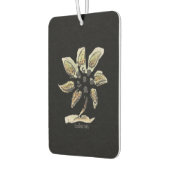 空気清浄機 カーエアーフレッシュナー (左)