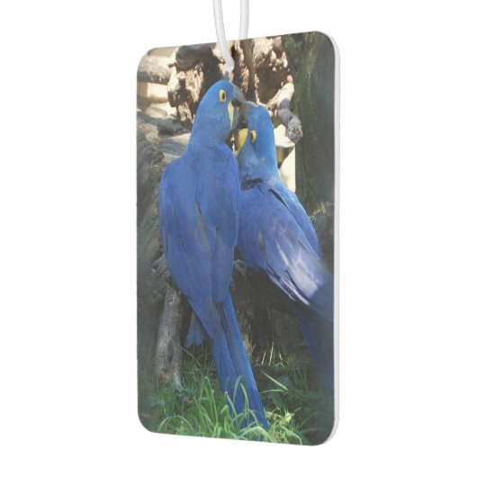 空気車のフレッシュナー_パロト カーエアーフレッシュナー (左)