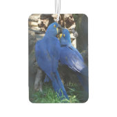 空気車のフレッシュナー_パロト カーエアーフレッシュナー (裏面)