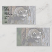 空洞の木に住むアライグマ·サマー·ヤングスター 名刺 (正面/裏面)