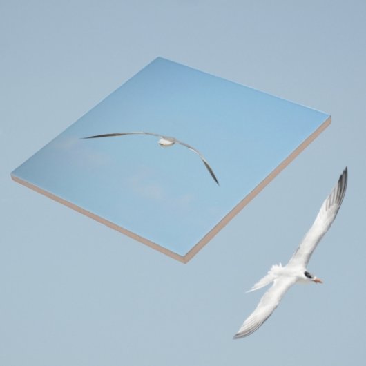 空王室のの海岸の青を広げる飛行翼の中のパターン タイル