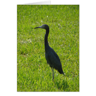 空白のなカード