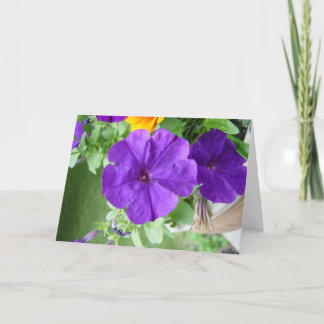 空白のなカード カード