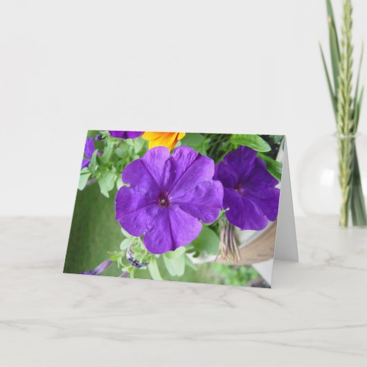 空白のなカード カード (正面)