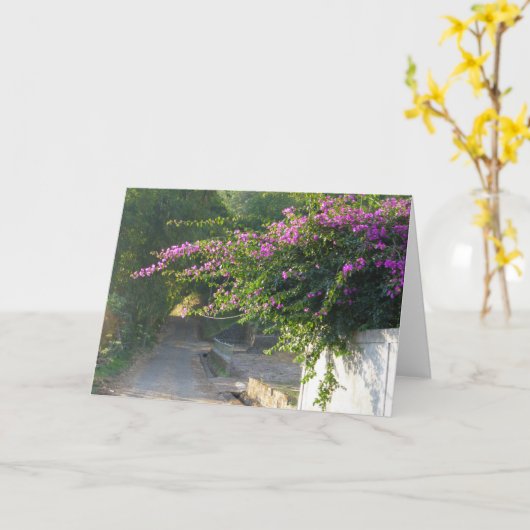 空白のなカード-壁のブーゲンビリア カード (黄色い花)