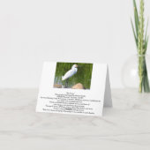 空白のなカード、子ガモ サンキューカード (裏面)