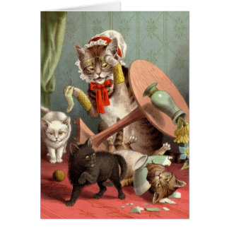 空白のなカード-猫の無秩序