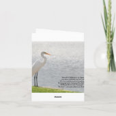 空白のなカード、白鷺 サンキューカード (裏面)