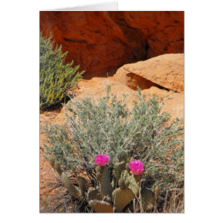 空白のなカード、DSCF0348の~inあなたのwords~