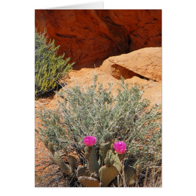 空白のなカード、DSCF0348の~inあなたのwords~ (正面)