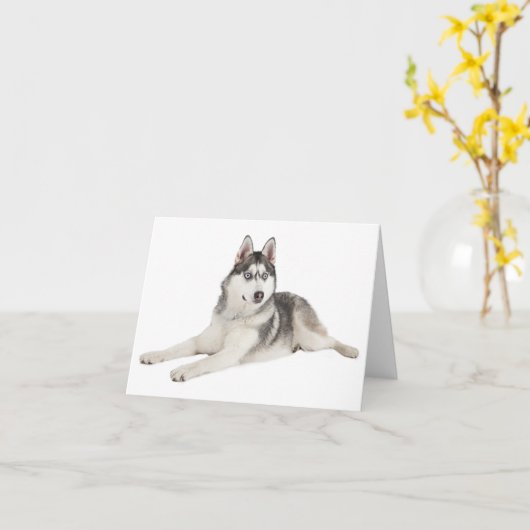 空白のなシベリアンハスキーの小犬こんにちは愛失敗 カード (黄色い花)