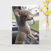 空白のなチワワの挨拶状-あなたの考えること カード (黄色い花)