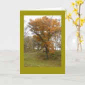 空白のなメッセージカードの秋の路傍のオークの木 カード (黄色い花)