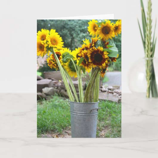 空白のなメッセージカード カード (正面)