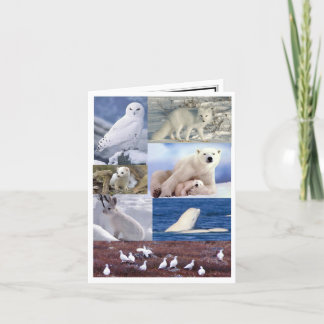 空白のなメッセージカード カード