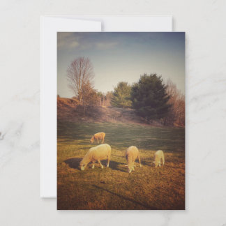 空白のなメッセージカード サンキューカード