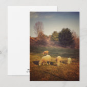 空白のなメッセージカード サンキューカード (正面/裏面)