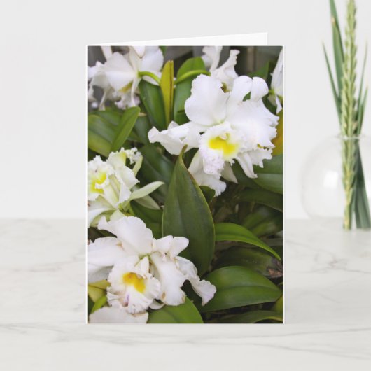 空白のなメッセージカード サンキューカード (正面)