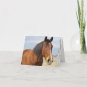 空白のなメッセージカード--ブラウンの馬の側面 カード (正面)
