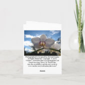 空白のなメッセージカード、朝顔 カード (裏面)