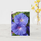 空白のなメッセージカード、朝顔 カード (黄色い花)