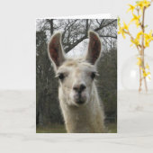 空白のなラマの挨拶状 カード (黄色い花)