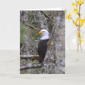 空白のな写真の挨拶状 カード (黄色い花)