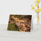 空白のな写真の挨拶状 カード (黄色い花)