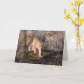 空白のな挨拶状: うろつくオオヤマネコ カード (黄色い花)