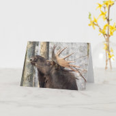 空白のな挨拶状: アメリカヘラジカ王 カード (黄色い花)