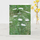 空白のな挨拶状 カード (黄色い花)