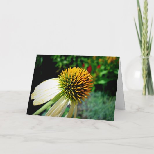 空白のな挨拶状 カード (正面)