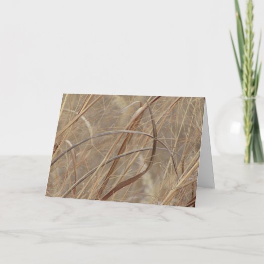 空白のな挨拶状 カード (正面)