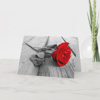 空白のな挨拶状 カード