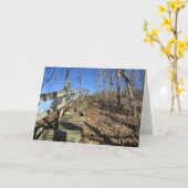 空白のな挨拶状 カード (黄色い花)