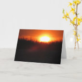 空白のな挨拶状 カード (黄色い花)