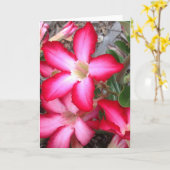 空白のな挨拶状 カード (黄色い花)