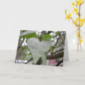 空白のな挨拶状 カード (黄色い花)