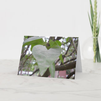 空白のな挨拶状 カード