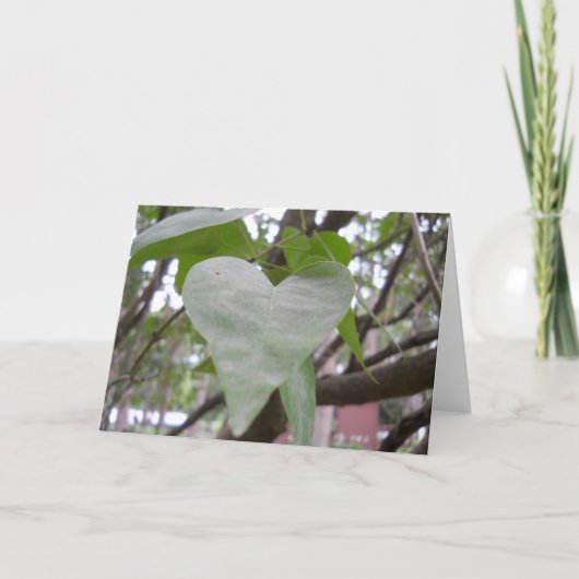 空白のな挨拶状 カード (正面)